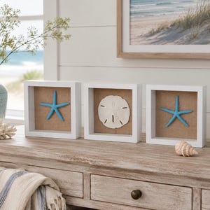May include: Three white framed shadow boxes with coastal decor. Two boxes feature blue starfish, and one displays a sand dollar. The boxes sit on a weathered wooden surface, with a seashell and a decorative vase nearby.