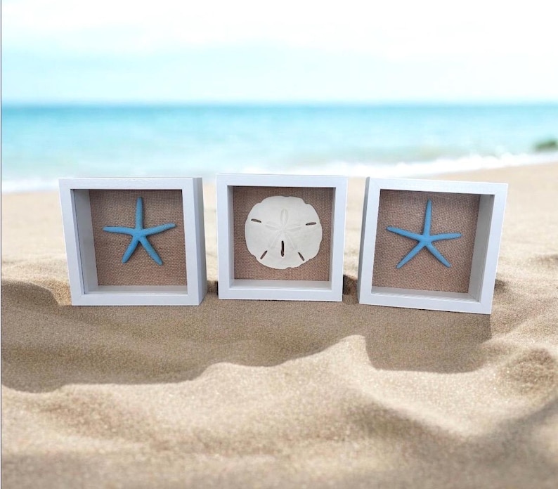 Coastal Shadow Box Framed | Set Starfish & Sand Dollar Wall Art | Beach ...
