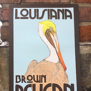 Louisiana Brown Pelican Screen Print