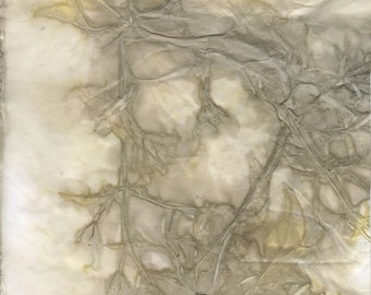 Eco-geverfde print, botanische afbeelding voor tijdschriften (digitale download)