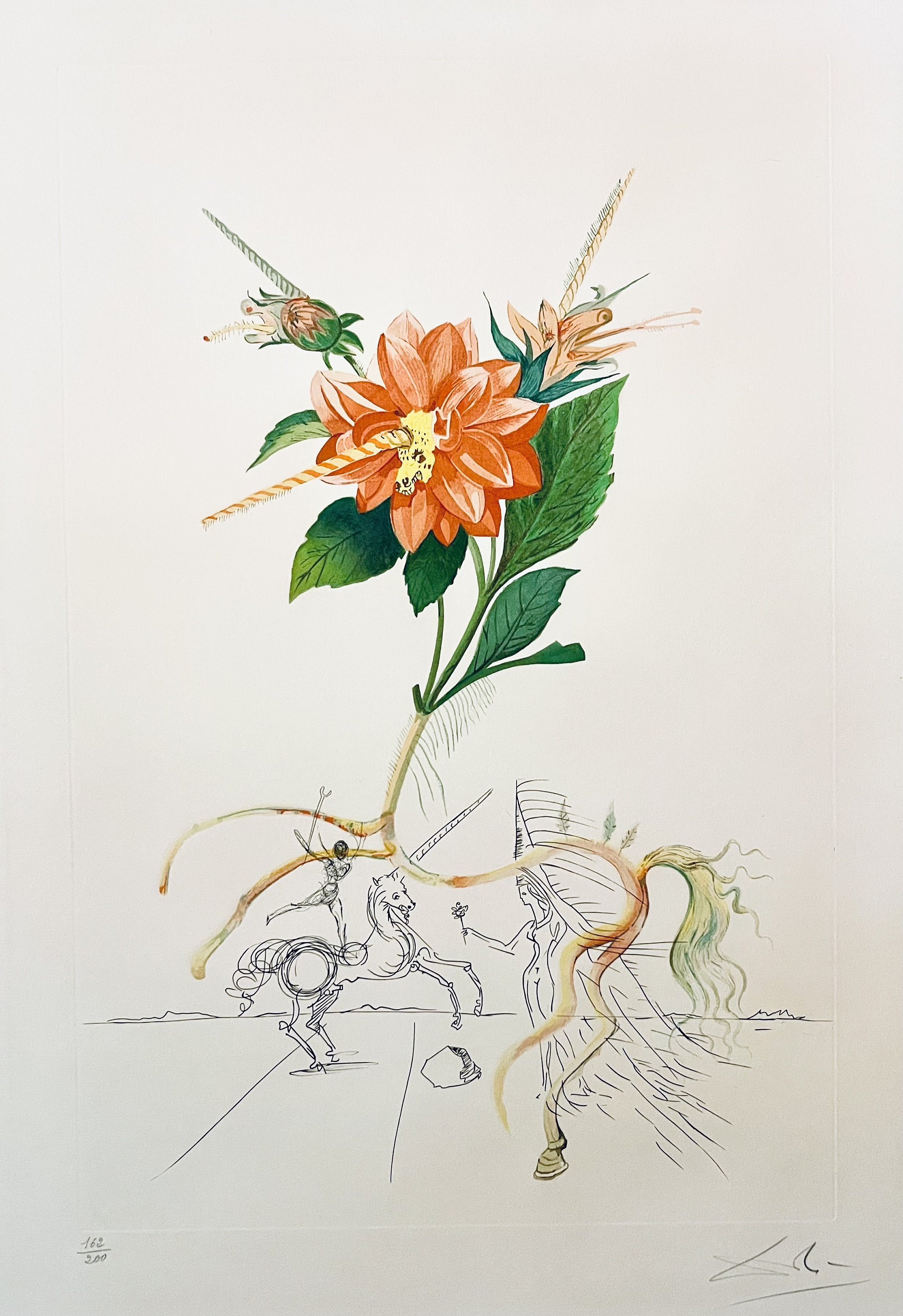 ダリ　Salvador Dali: 257 Editions Originale Salvador Dali 257 Editions Originales 1964-1985 by Sahli