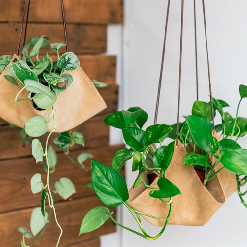 Leather Plant Hanger - Etsy