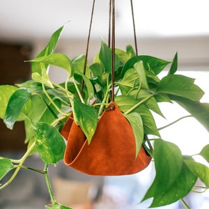 Rust Leather plant hanger, plant hanging, plant holders, leather decor