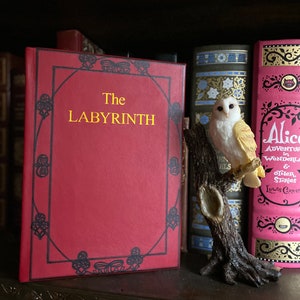 Labyrinth Book (livre de A.C.H. Smith) Relié en cuir Relié