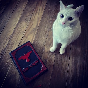 The Crow-Special Edition Lederband Buch-Graphic Novel-Rote glänzende Folie Version-Made to Order