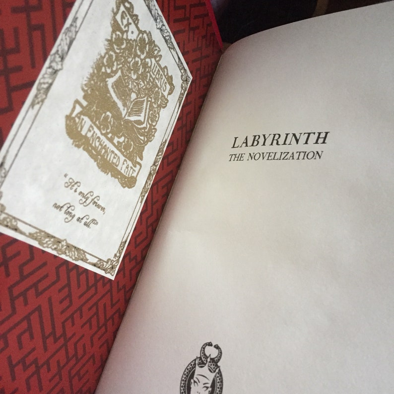 Labyrinth Book livre de A.C.H. Smith Relié en cuir Relié image 5