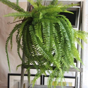 Boston Fern Plant 70cm/27.56&quot;Artificial Simulation Persian Leaves Hanging Basket Greenery,Indoor/Outdoor Hanging Plant