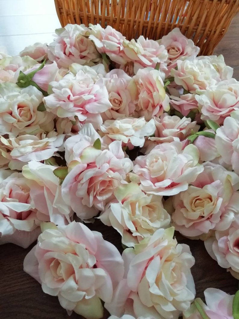 New Arrival Blush Pink 50 Heads Wholesale Wedding Flower DIY Etsy