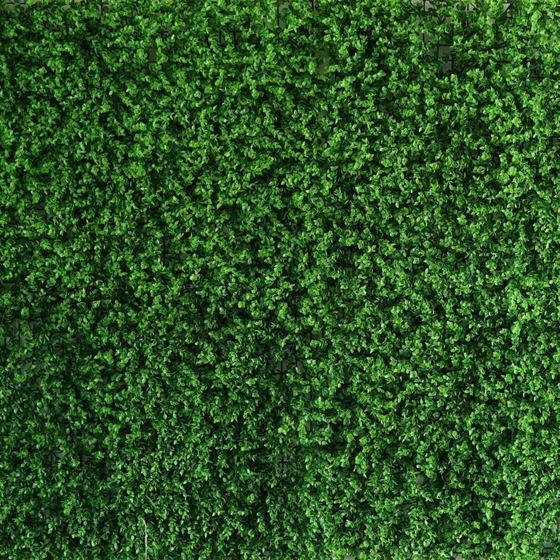 Artificial Grass Wall Backdrop Baby Shower Backdrop Photo Etsy