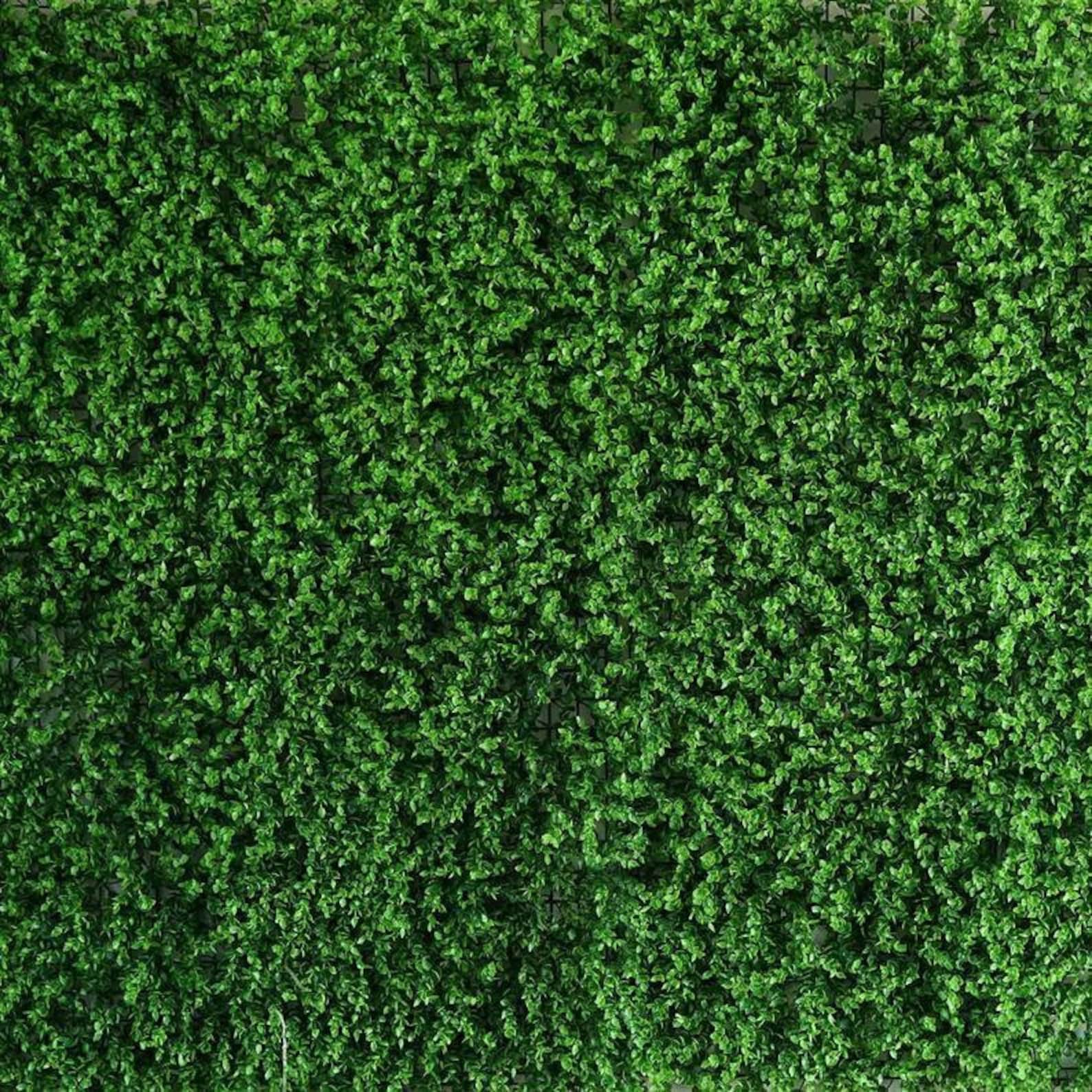 Artificial Grass Wall Backdrop Baby Shower Backdrop Photo Etsy