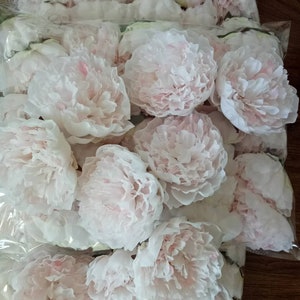 Wholesale 100Heads Pom Pom Flowers Artifical Simulation Silk Chrysanthemum Wedding Party Decor Florals DIY Background Diam.7cm