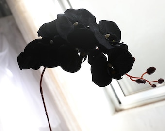 May include: Black artificial orchid flower with a long stem and red buds.