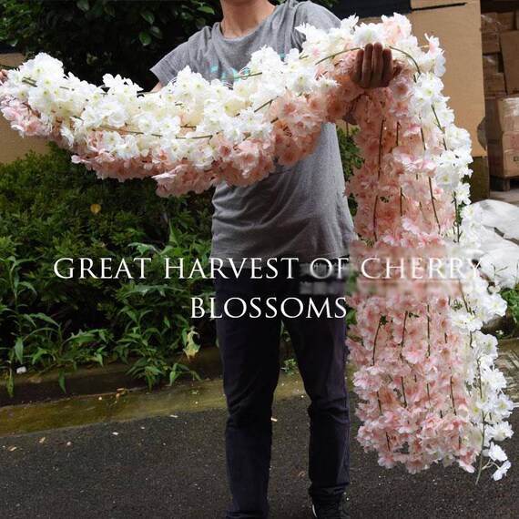 yaoqijie 20pcs. 1M / 2M. Ghirlanda ghirlanda artificiale flower flower fotture per la casa decorazione di nozze
