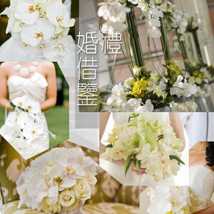 5 Stems Ivory Wedding Artificial Simulation Silk Orchids Wedding Customized Butterfly Orchid Phalaenopsis For Party Center Table Flower image 5