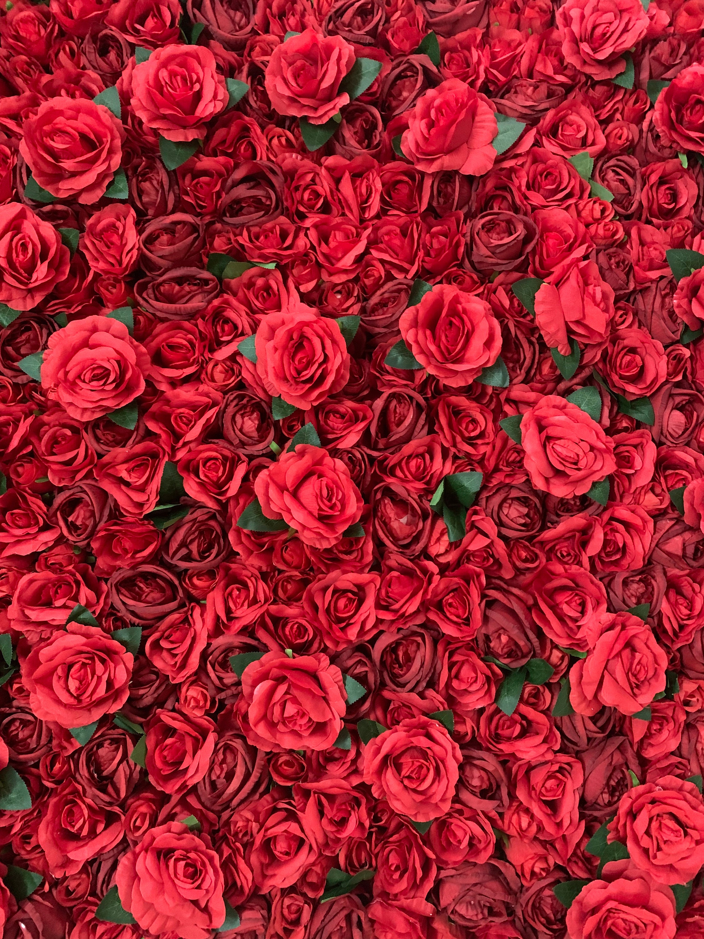 Full Red Rose Wedding Flower for Romantic Photography Backdrop Etsy