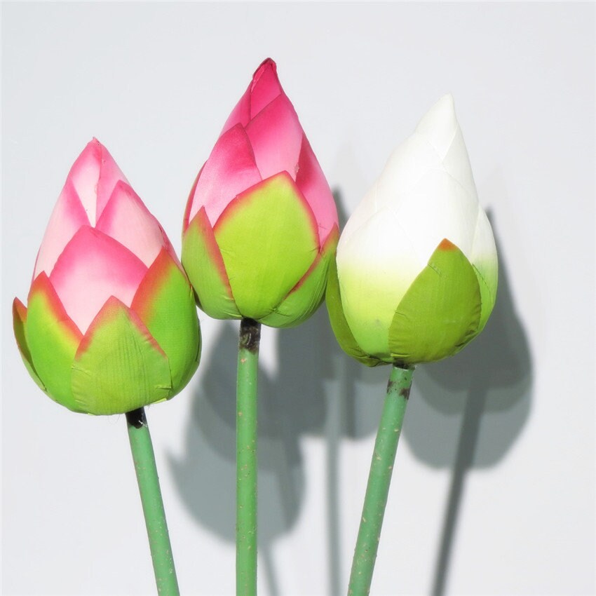 Buy 5 Stems Artificial Simulation Silk Lotus Buds Water Lily Buds Online In India Etsy