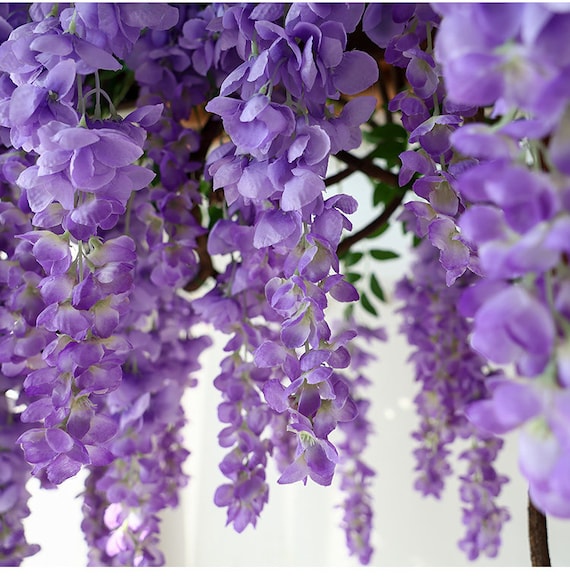 Knstlich Simulieren Sie die riesige Glyzinienblume von Abreu Vine Garland  Hngeblumen fr Hochzeitszeremonie im Freien Bogen Blumendekor US DDP -  Etsy.de