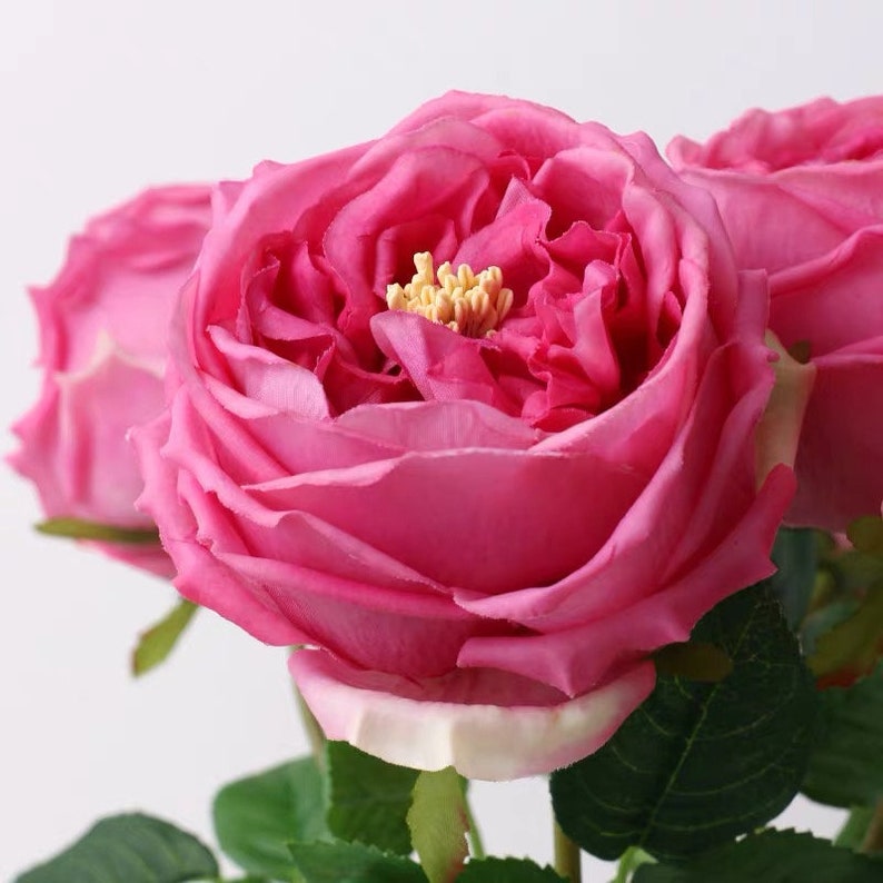 Real Touch Artificial Austin Cabbage Rose Garden Rose DIY Wedding ...