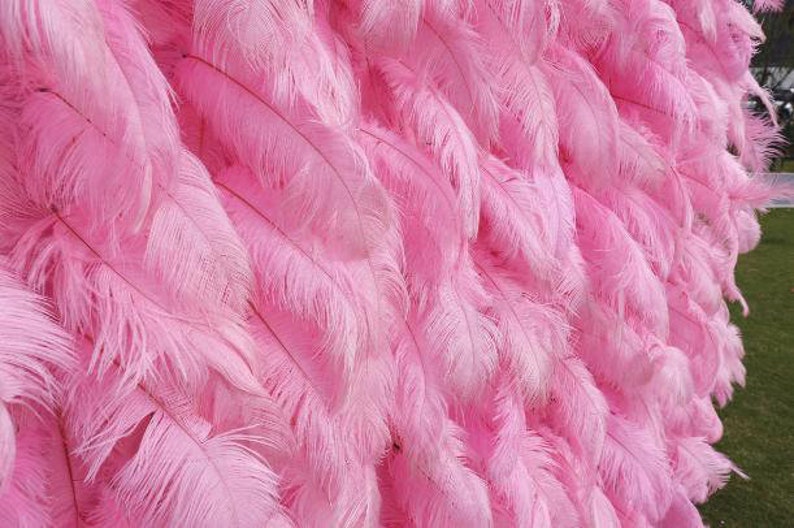 Pink Rafters New Arrival 3D Pink Feather Wall for Wedding Arrangement Bridal Shower ...
