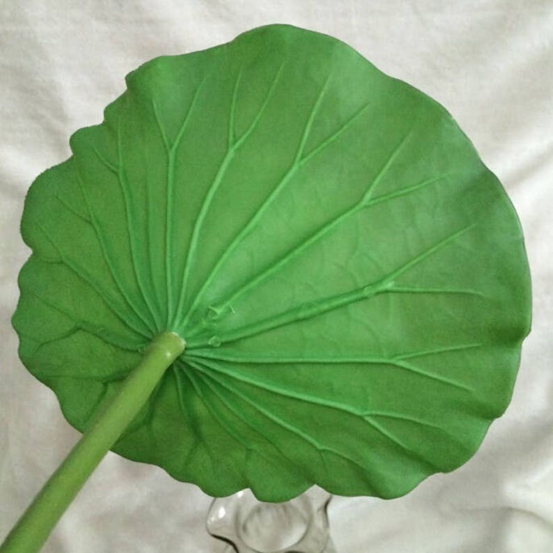 Artificial Simulation Lotus leaf PU foam Water Lily Leaf True Etsy