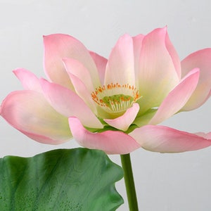 Artificial Simulation Lotus, Seedpod, Lotus Bud ,PU Real Touch Feel Hand Water Lily Fish Tank Pond Garden Decoration Floral