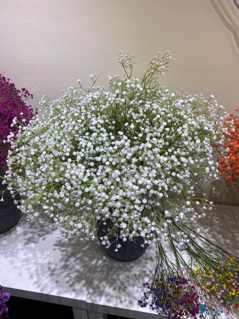 Wholesale 50 Stems Babys Breath Bouquet Flowers Wedding Etsy