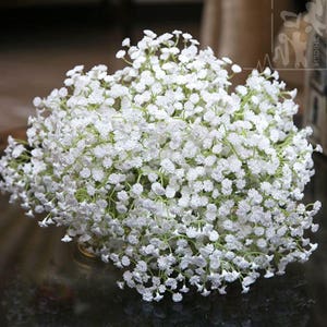 Wholesale 50 Stems Babys Breath Bouquet Flowers Wedding -  Israel