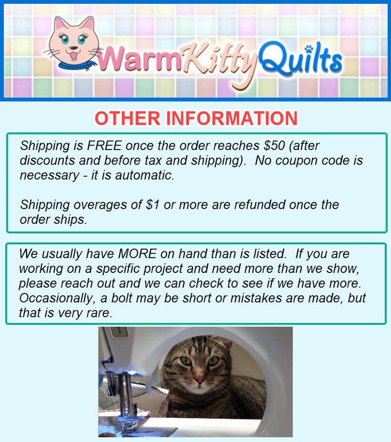 a picture of a cat sitting in a bathtub