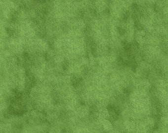 HORSIN' AROUND - Denim Texture in Green - Denim-Look Cotton Quilt Fabric - Desiree Designs for Quilting Treasures Fabrics - 27138-G (W5464)