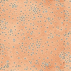 DINO-MITE - Dinosaur Skin in Melon Orange - Kids Cotton Quilt Fabric - Studio 8 - Quilting Treasures Fabrics - 26537-O (W5518)