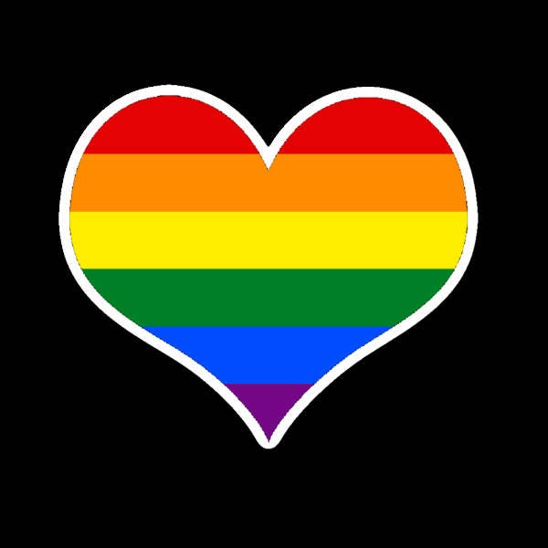 Bisexual Pride Flag Canvas Print By Falln