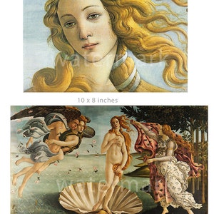 Panele z tkaniny x 2 Botticelli Venus Panele Vintage, pikowanie, 100% bawełna, aplikacja, rzemiosło