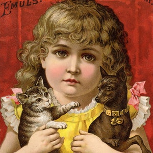 Fabric Panels; Vintage Girl with Cat  Ephemera / Quilting/ 100% Cotton/ Applique fabric Blocks