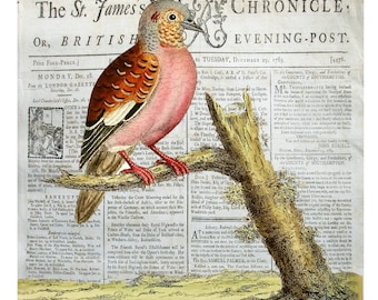 Fabric Panels; Antique Birds, Love Bird , Vintage Newspaper. Craft/ 100% cotton/ Quilting/ Applique/ Patch