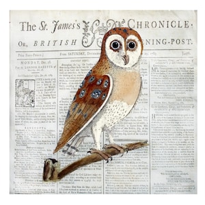 Fabric Panels; Antique Birds, Owls , Vintage Newspaper. Craft/ 100% cotton/ Quilting/ Applique/ Patch