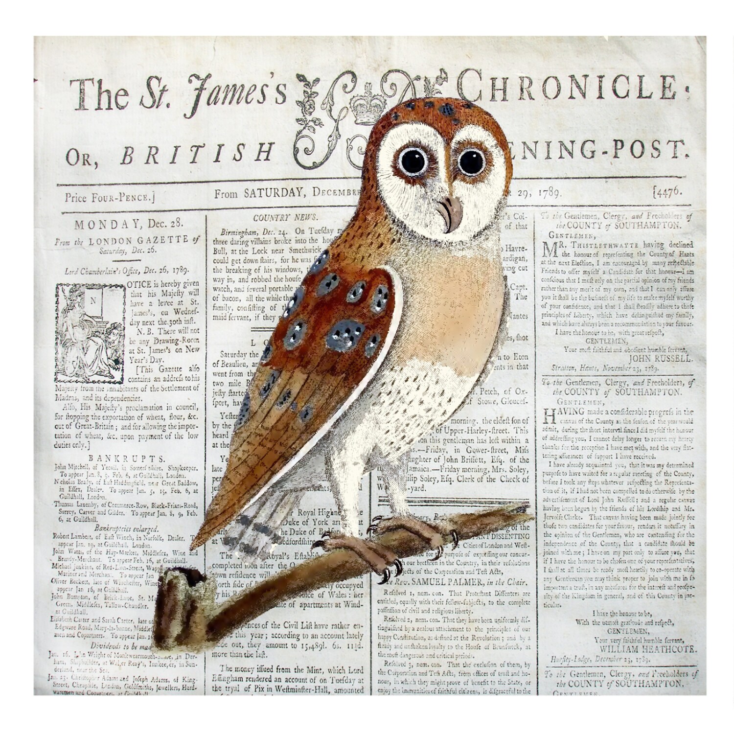 Visual Arts Owl Fabric Panel 100 Cotton Fabric Panel Quilting Crafts