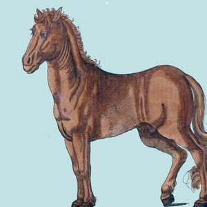 Fabric Panel;Horse fabric block vintage horse print  Craft Quilting 100% Cotton percale Applique