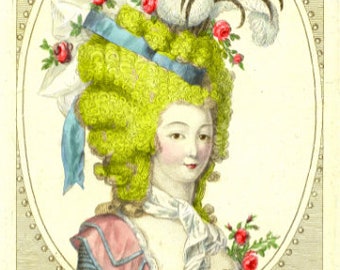 Fabric Panel  Portrait French  Marie Antoinette  Choeffure Hair Styles   Blocks 100% cotton applique  quilting fabric .