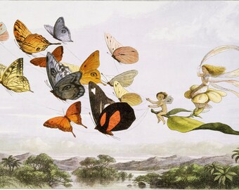 Fabric Panels The Fairy Queen Butterfly fabric panel fabric block  100% cotton/ Quilting Embroidery  panel