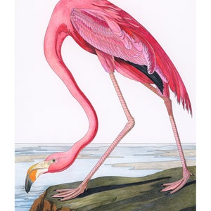 Fabric Panels; Vintage Pink Flamingo bird, Craft/ art/ Quilting/ 100% Cotton/ Applique