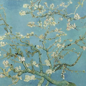 May include: A painting of a blooming almond tree with white blossoms against a bright blue sky. The branches are depicted in a swirling, expressive style, characteristic of the artist's work.