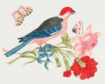 Bird Fabric Panel Vintage Birds Print quilt Block bird animal fabric panel prints quilt blocks 100% Cotton