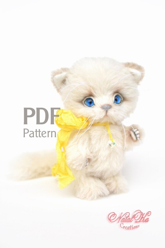 teddy kitten