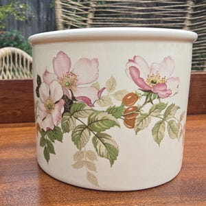 May include: A cylindrical ceramic planter with an off-white base colour, featuring a botanical illustration of pink wild roses, green leaves, and small brown rose hips wrapped around the exterior surface of the vessel in a horizontal pattern.