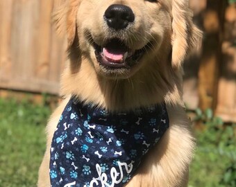 Personalized Dog Bandanna Fiesta Dog Bandana Clip on Pet Scarf New Puppy Gift Dog Bandana with Stripes