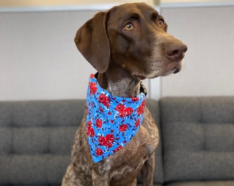 Flower Dog Bandana, Beautiful Red Rose & Blue Dog Bandanna - Over the Collar Dog  Bandana - Girl Dog Bandana