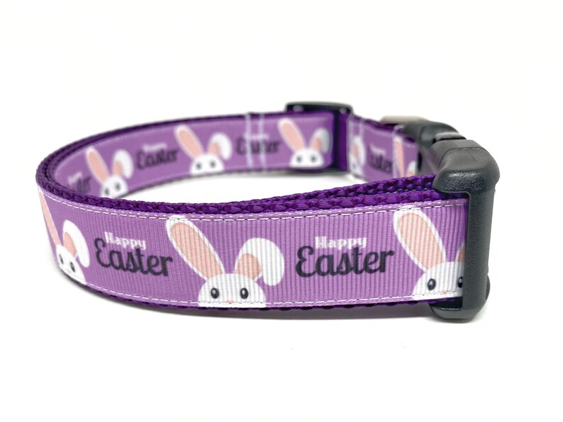 Easter Dog Collar Bunny Dog Collar Dog Collar Etsy