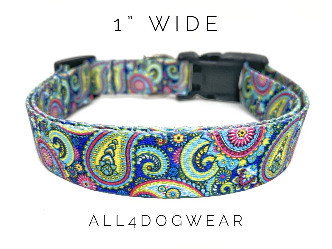 Paisley Dog Collar 1 Wide, Colorful Summer Dog Collar to Make Your Pup