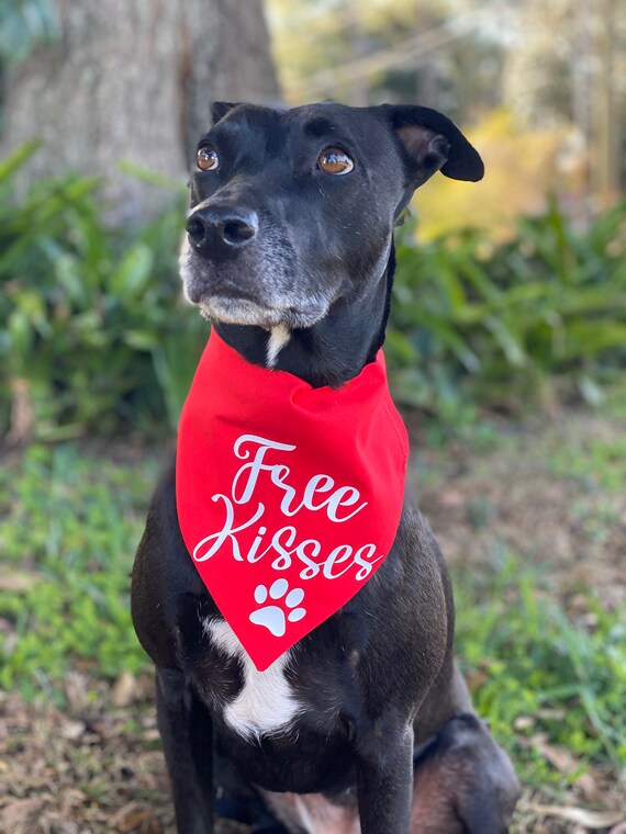Free Kisses Valentines Day Dog Bandana Valentines Day Over the