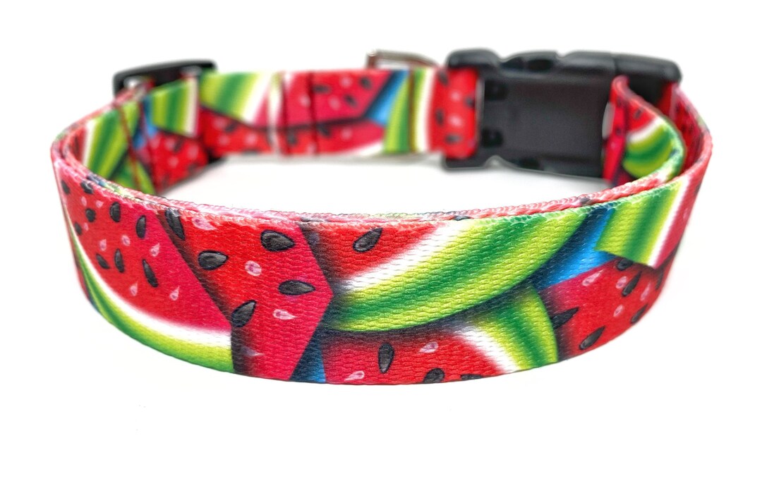 Watermelon Dog Collar 1 Wide Cute Summer Melon Dog Collar Dog Collar
